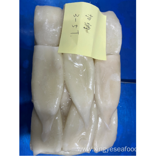 Frozen Squid Tube Illex Coindetii U3-U5